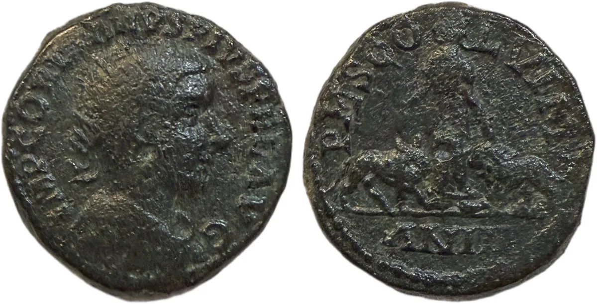 ROMAN PROVINCIAL. MOESIA SUPERIOR, VIMINACIUM. Gordian III. Bronze