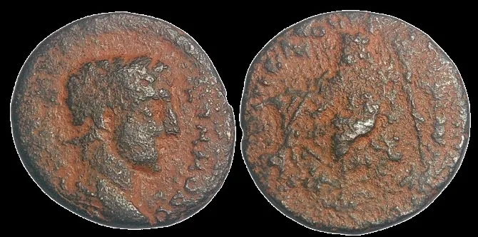 Roman Provincial: Syria Cyrrhestica Cyrrhus Commodus 177-192 AD, AE 24.1mm 7.76gm