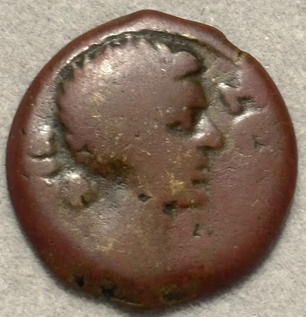 Livia, Wife of Augustus, Diobol EGYPT Alexandria