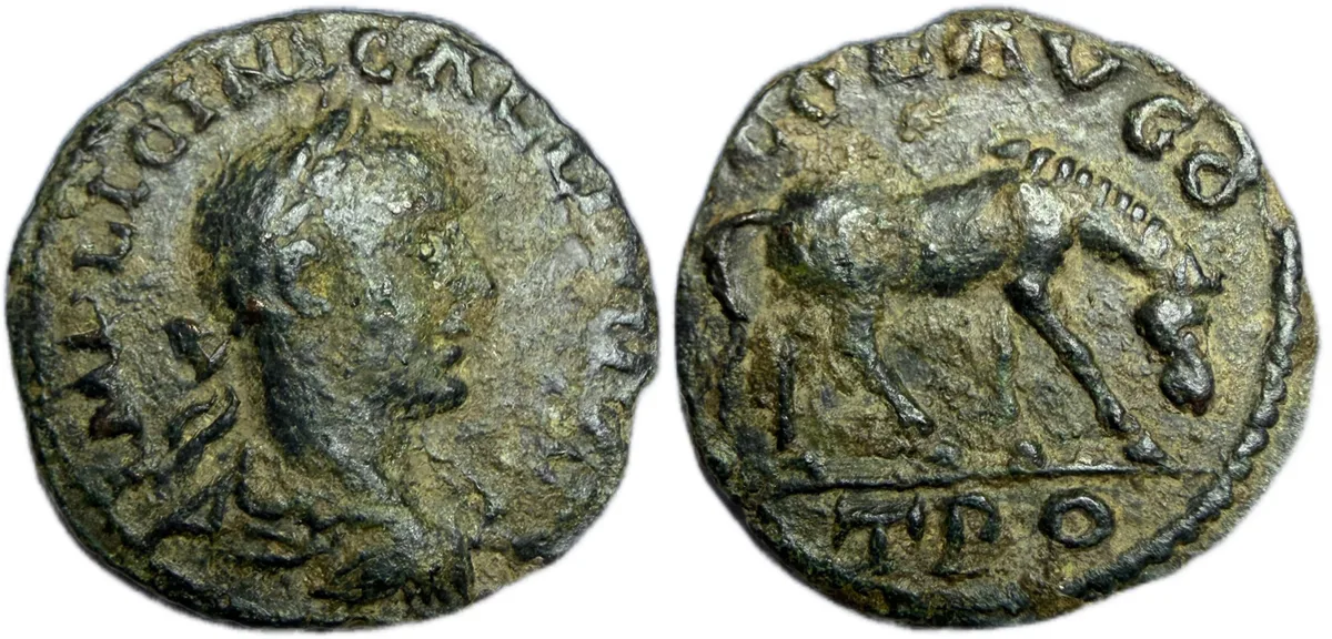 Gallienus, Alexandria, Troas. AD 253-260