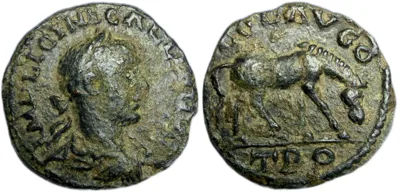 Gallienus, Alexandria, Troas. AD 253-260