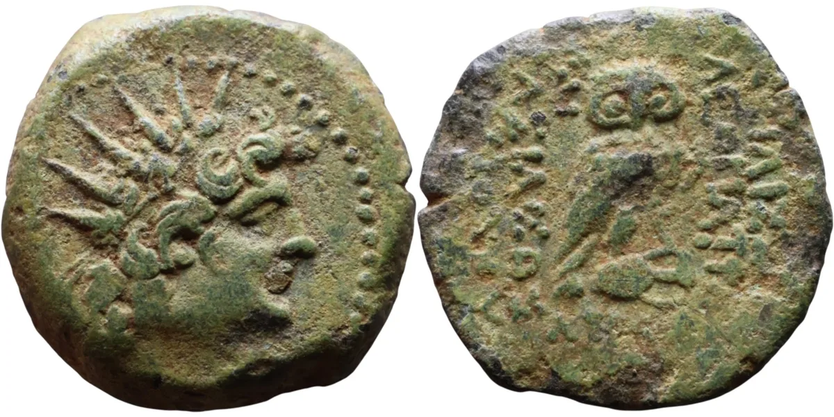 Seleukid (Seleucid)Antiochus VIII Epiphanes AE - Owl Reverse