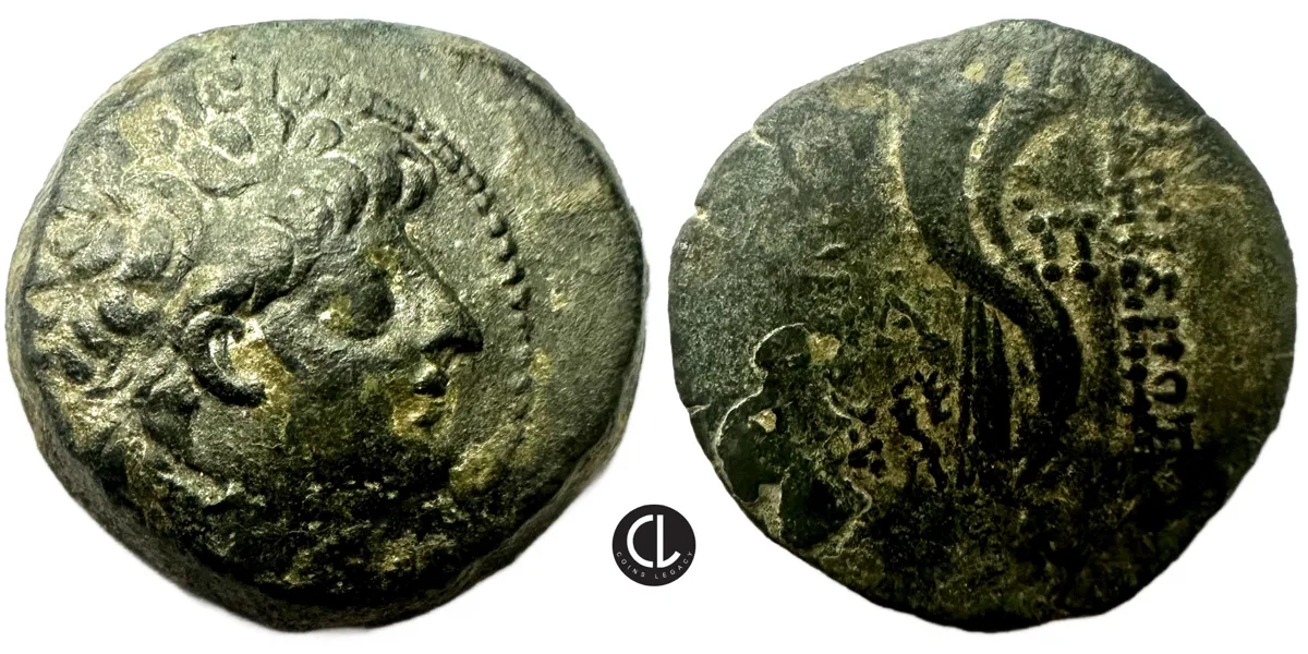 Seleukid Kingdom, Antiochos VIII Epiphanes (Grypos), Antioch Mint, AE Circa 121-96 BC - RR