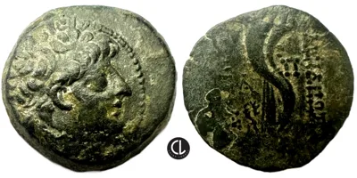 Seleukid Kingdom, Antiochos VIII Epiphanes (Grypos), Antioch Mint, AE Circa 121-96 BC - RR