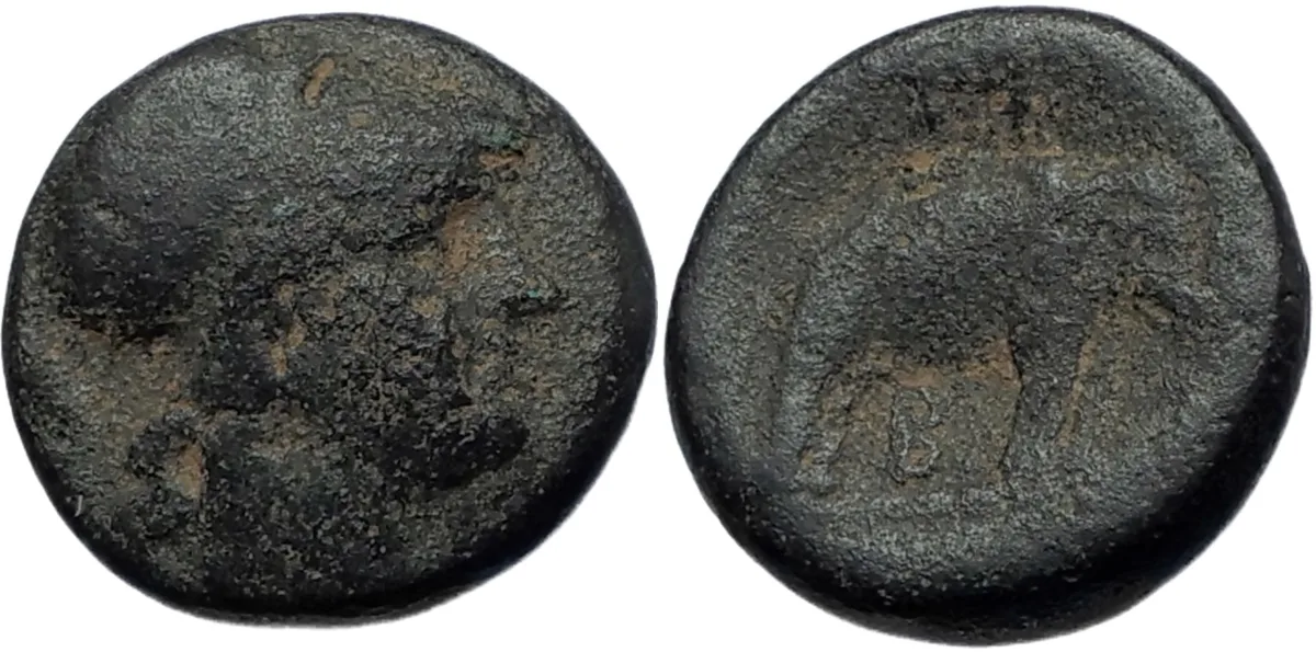 SELEUKOS I Nikator Ancient 296BC Seleukid Greek Coin w Athena & Elephant