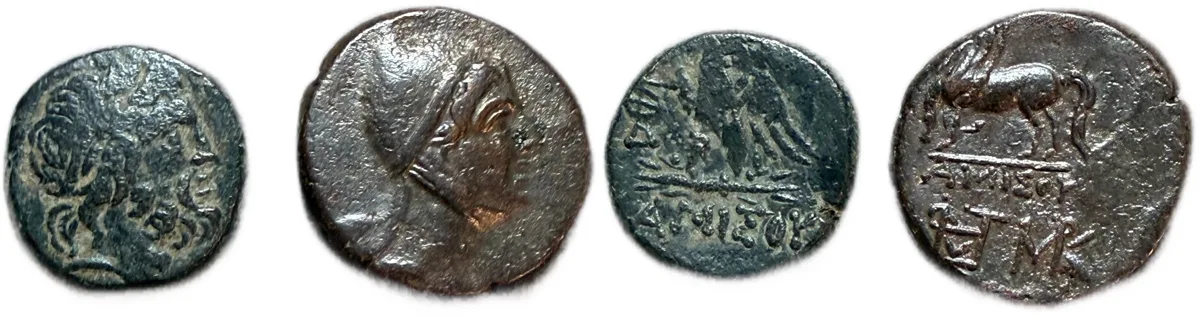 Amisos Pontos AE Nice Pair of Bronze Coins!