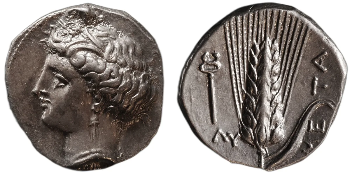 Lucania. Metapontum. Stater. Circa 340-330 BC