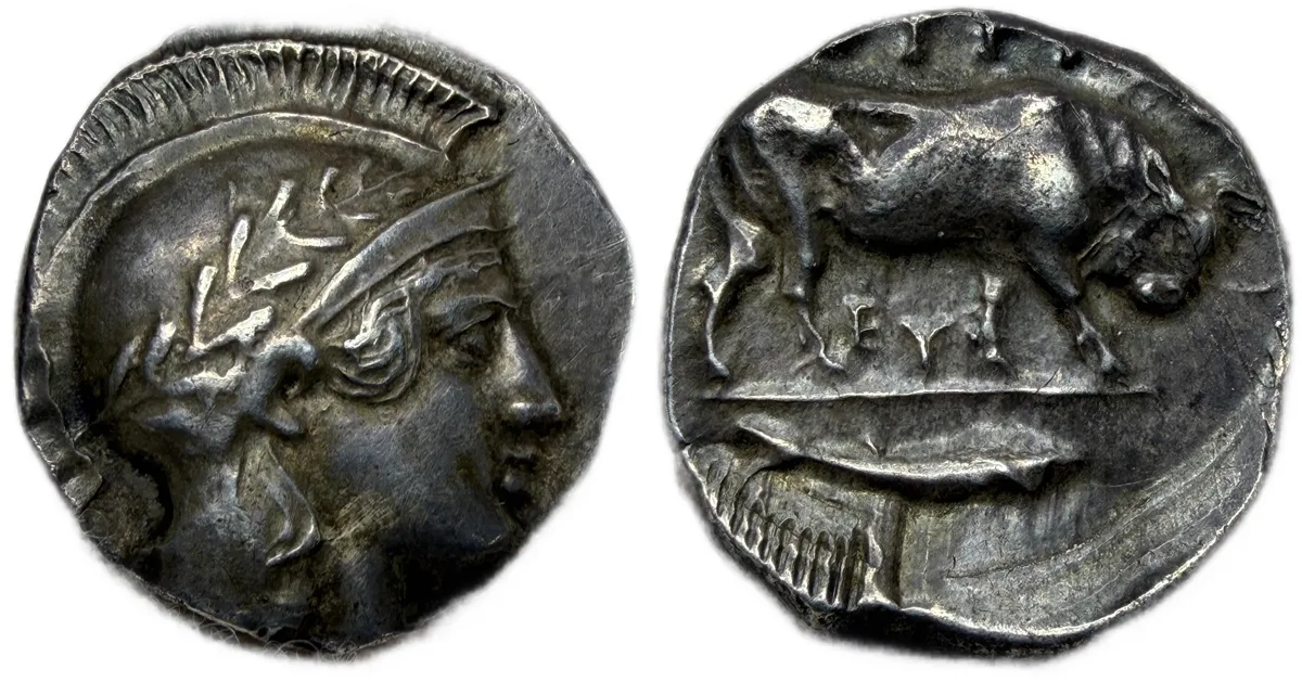 Lucania, Thurium Silver Stater 443 - 410 BC