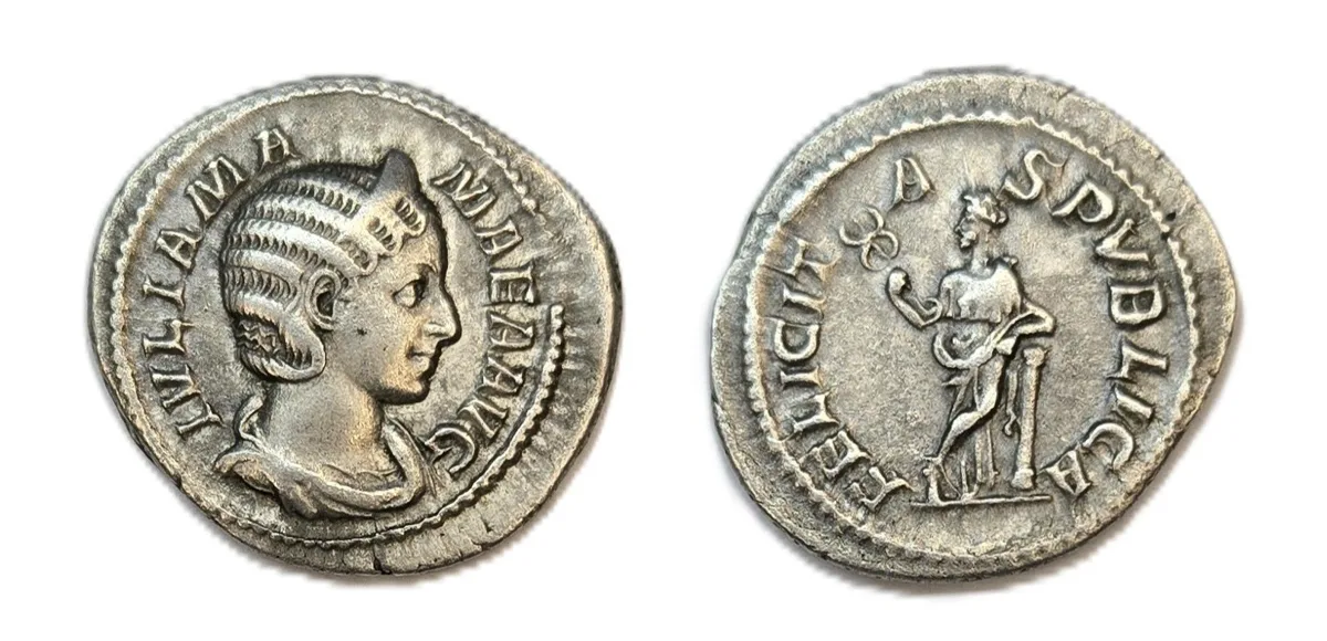 Julia Mamaea Silver Denarius 225-235 - RIC # 335 VF+ to EF