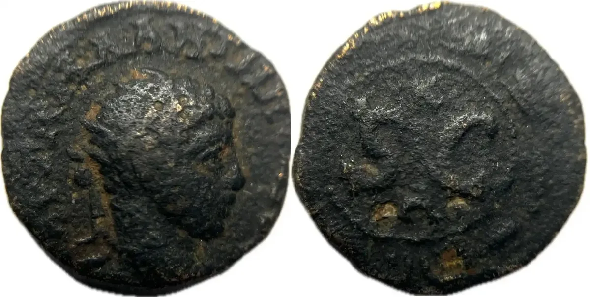Elagabalus AE16 of Antioch ad Orontem | Radiate Bust! | SC wreath | 16mm, 5.6g