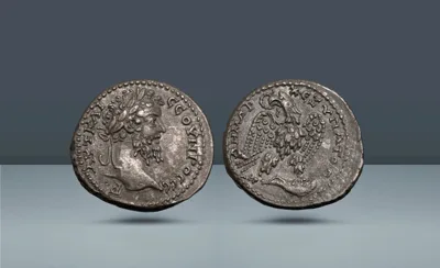 Roman Empire, Syria. Septimius Severus, 193-211 AD  Seleucia in Pieria, c. 202-211 AD