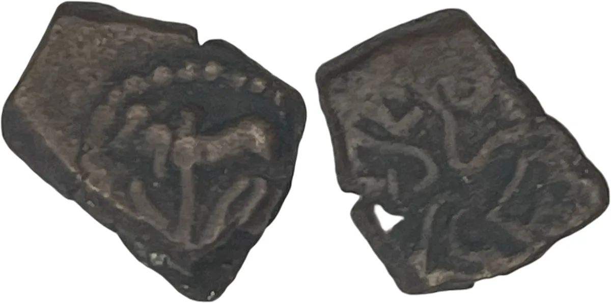 Narwa 355-365 1/2 Kakinis