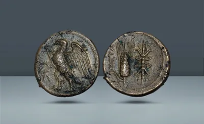 Lucania, Metapontum. c. 3rd century BC