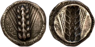 Greek Italy. SOUTHERN LUCANIA, Metapontum. 510-470 BC. AR Nomos (24.0mm, 7.96g).