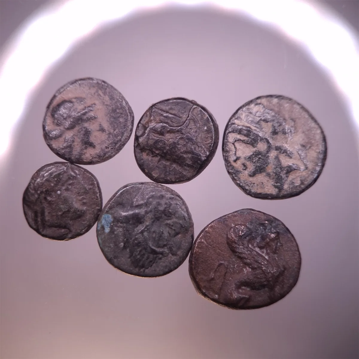 Greek Bronzes NO RESERVE