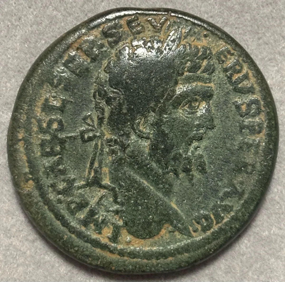 Septimius Severus 193-211 PISIDIA Antioch