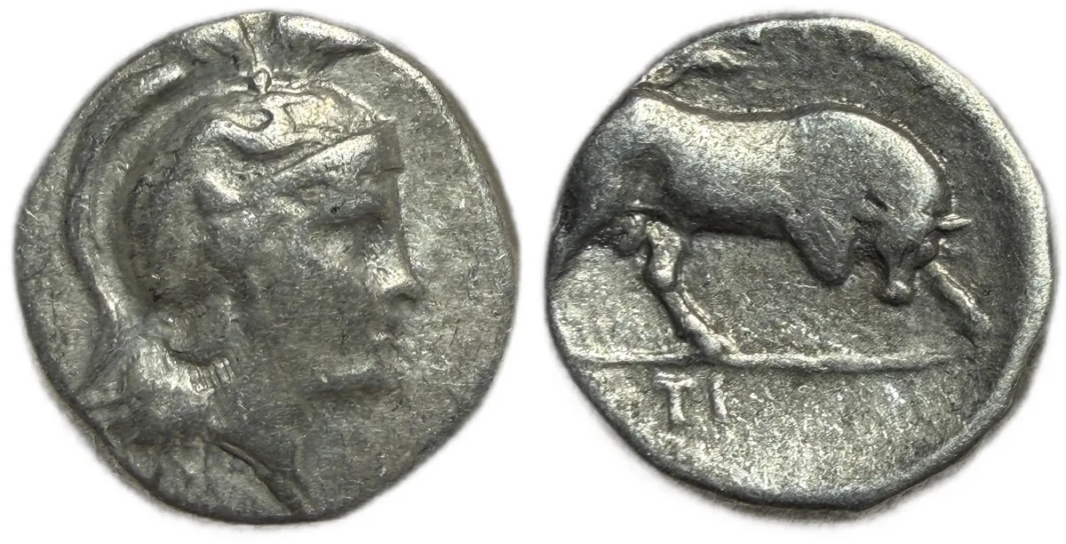 Lucania, Thouroi 281-261 BC, Nomos Athena / Bull