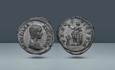 Roman Empire, Italy. Plautilla as Augusta (Struck under Septimius Severus and Caracalla), 202 - 205 AD Rome, c. 202 - 203 AD
