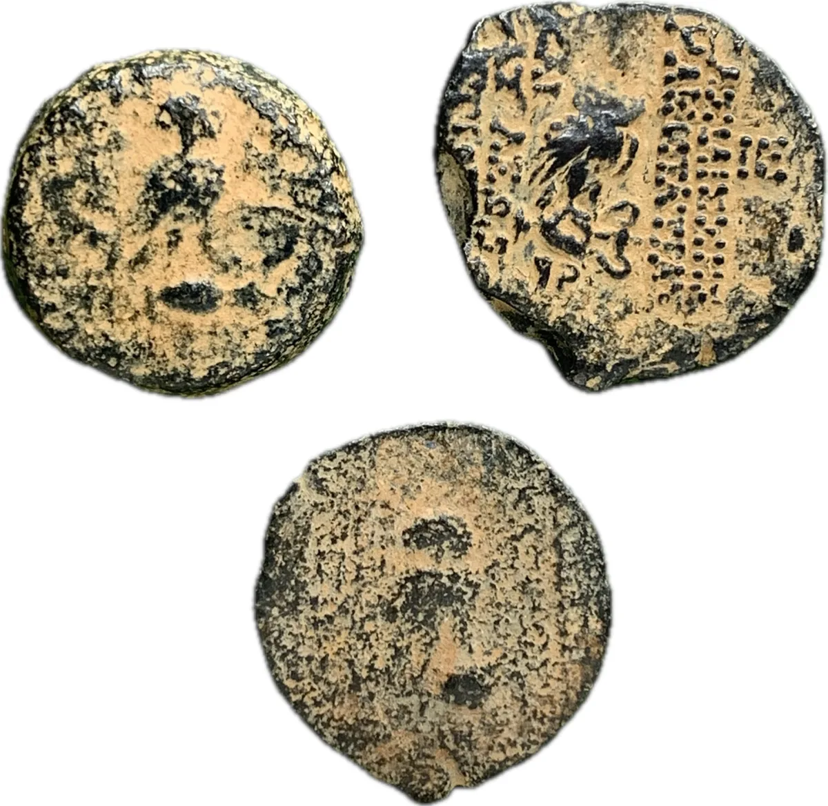 Lot of 3 Seleucid Coins - Cleopatra Thea, Owl