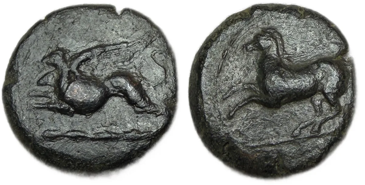 Sicily. Kainon. AE 23. 260-340 BC.