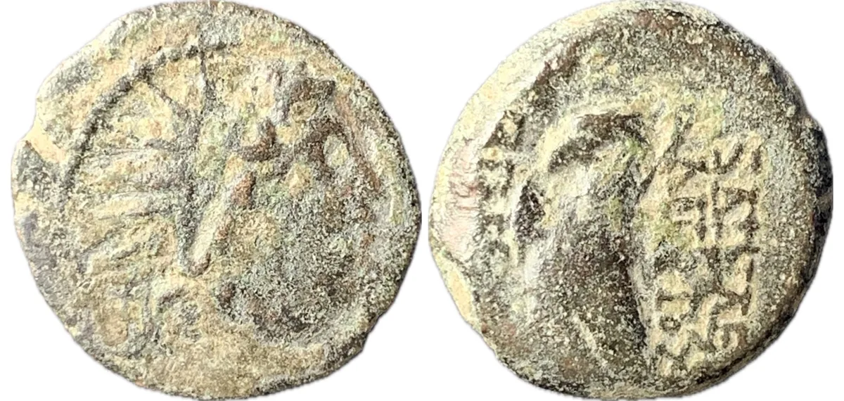 Seleucid Empire - Antiochus VIII - Eagle