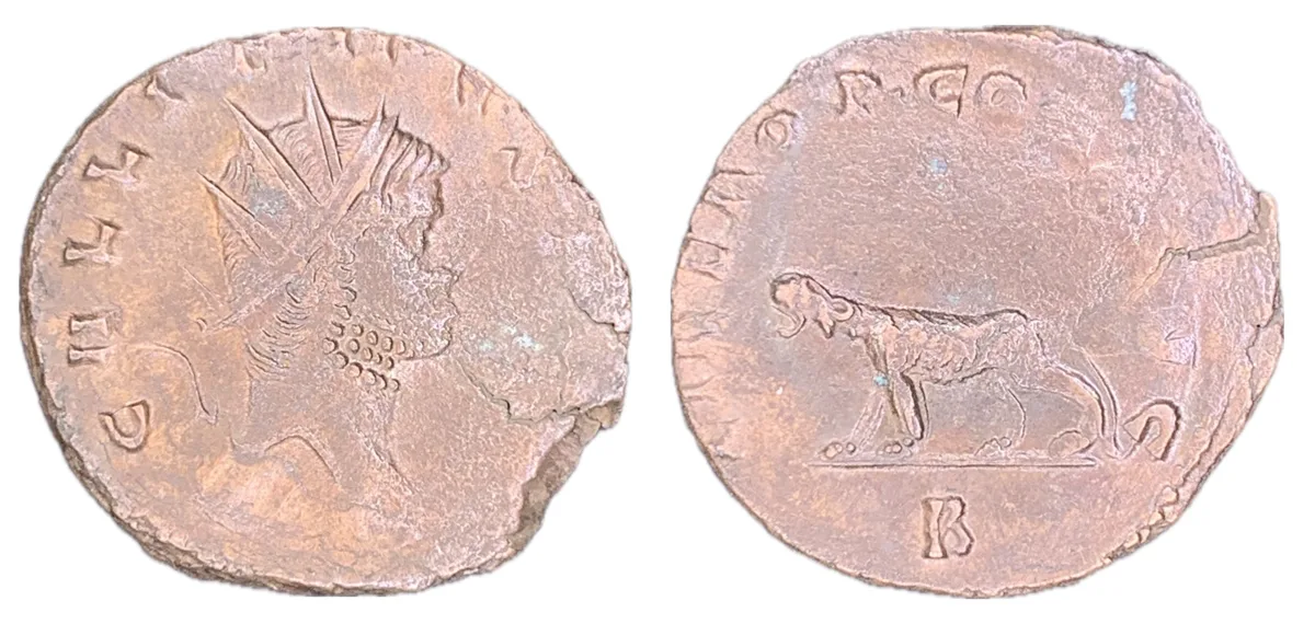 Gallienus - Antoninianus -  LIBERO P CONS AVG