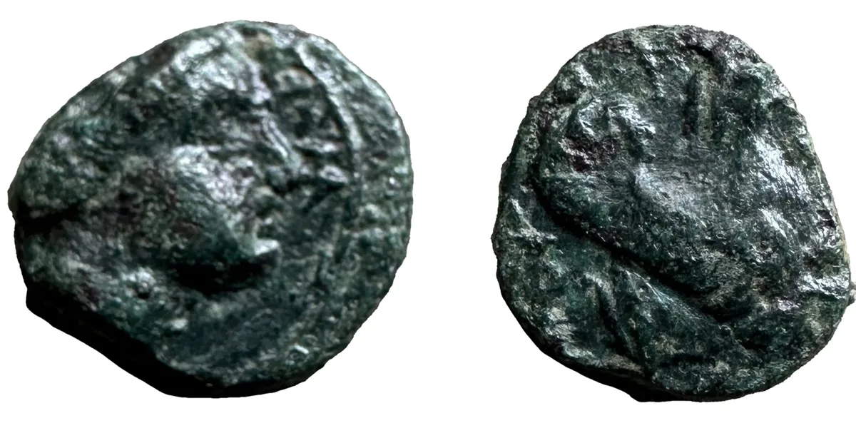 Mysia, Lampsakos