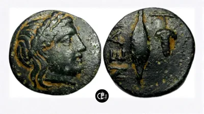 TROAS. Neandria. 4th century BC. Chalkous