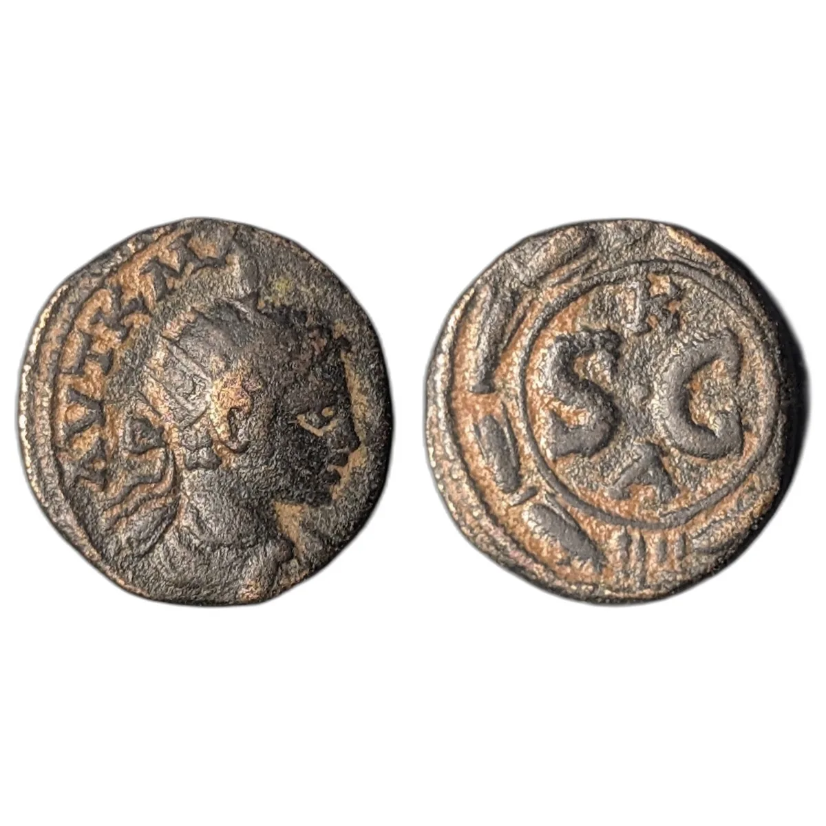 Seleucis and Pieria. Antioch. Elagabalus. AD 218-222. Æ As