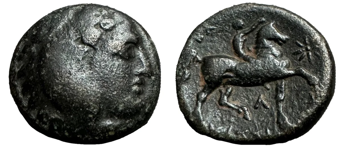 Kassander