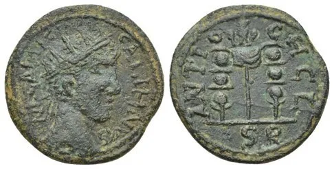 PISIDIA. Antiochia. Gallienus (253-268) - AE 22