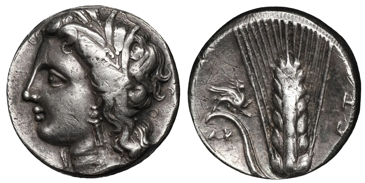 Lucania, Metapontion. Silver nomos (stater), c. 330-300 BC