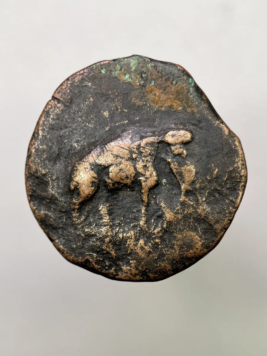 Greco-Bactrian Antimachos I, AE unit, 6.64g, 180-170 B.C