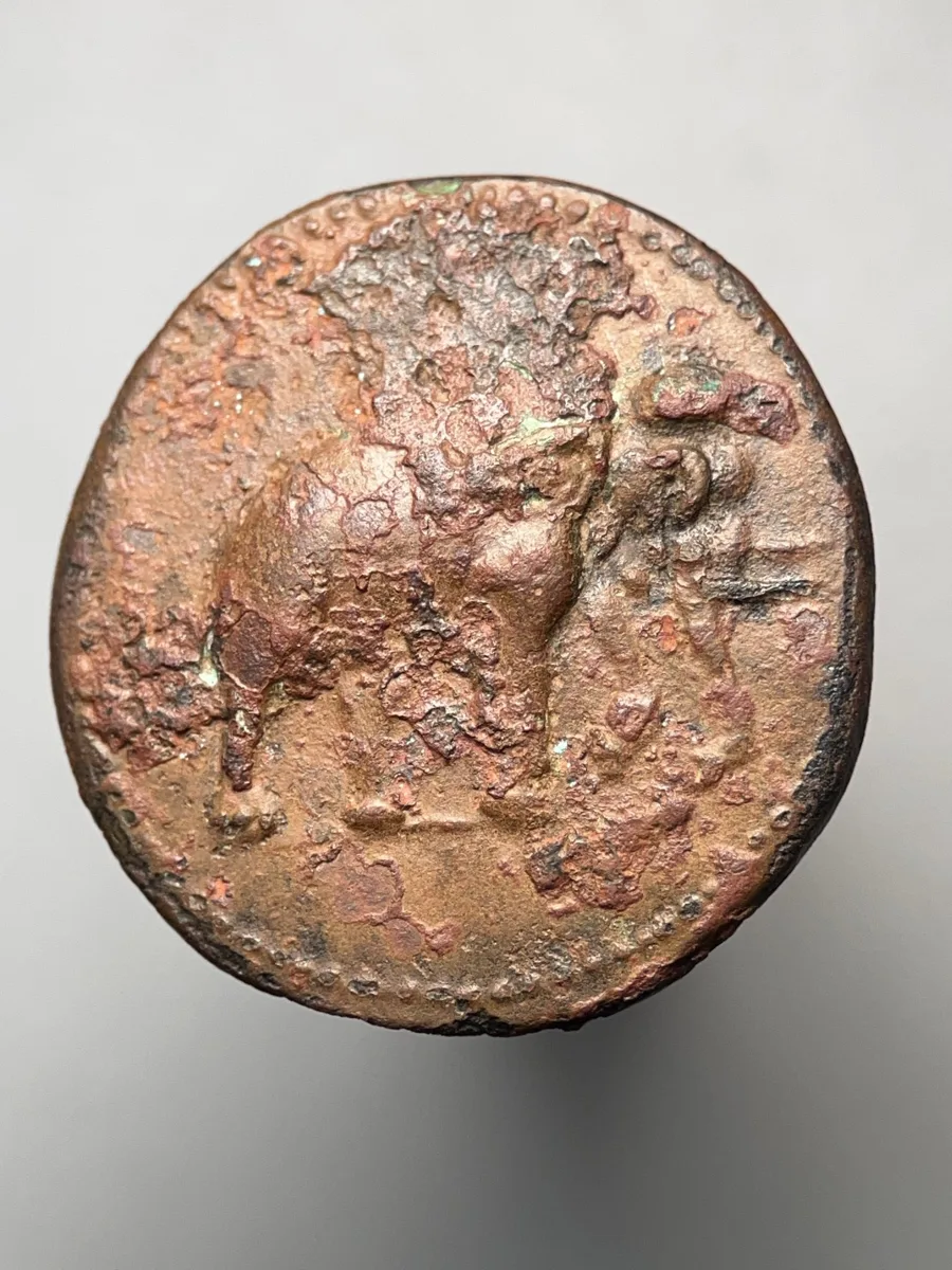Greco-Bactrian Antimachos I, AE unit, 6.72g, 180-170 B.C