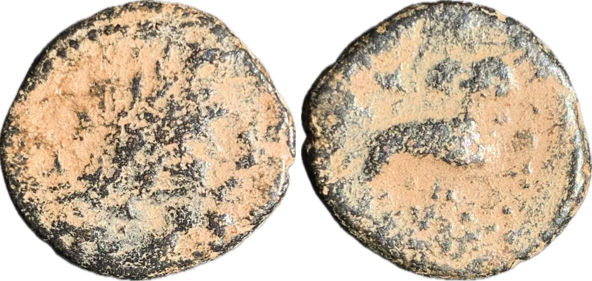 Seleucis and Pieria. Antioch. Pseudo-autonomous issue