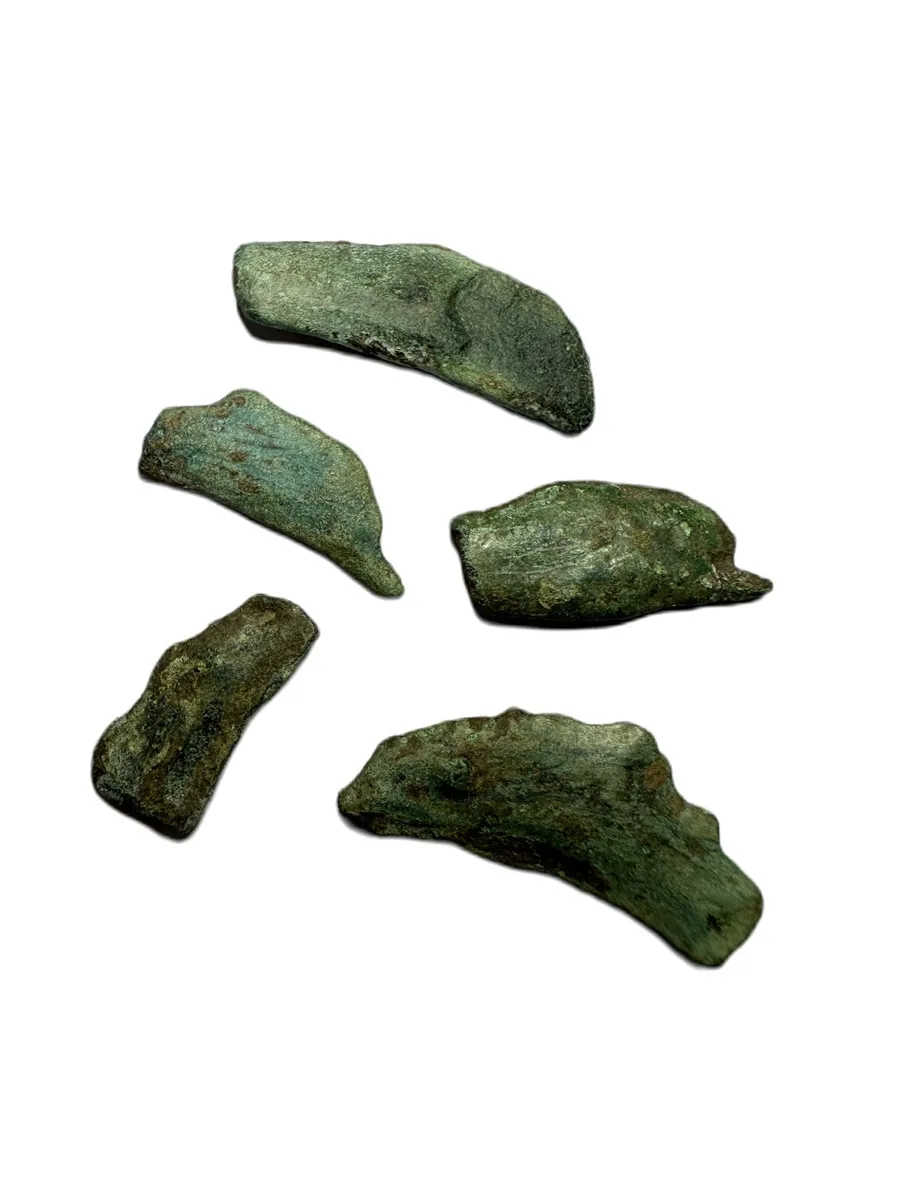Lot of 5 Skythia (Olbia) Dolphin Cast Type