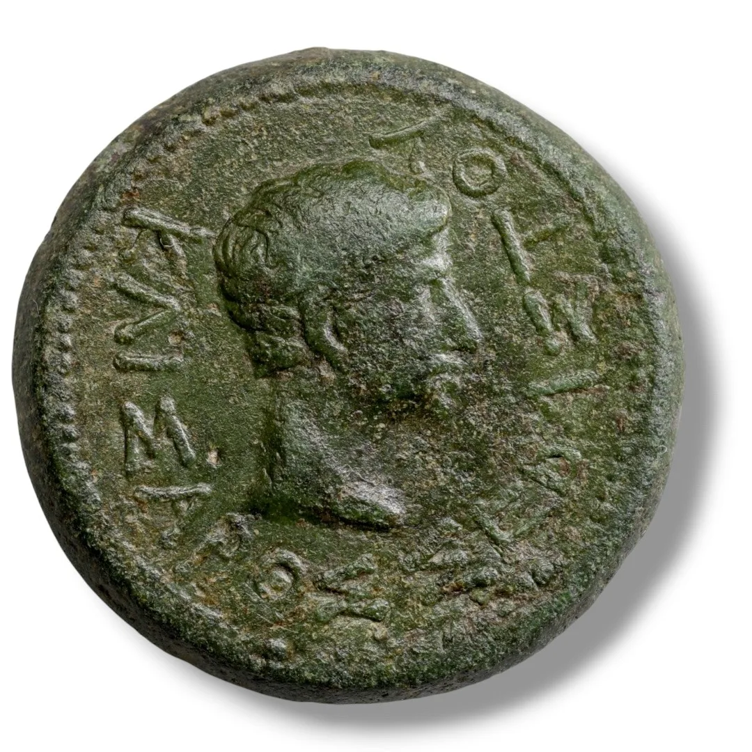 AUGUSTUS with RHOEMETALKES I & PYTHODORIS