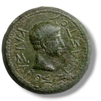 AUGUSTUS with RHOEMETALKES I & PYTHODORIS
