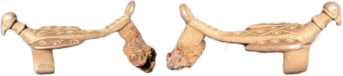 Silver Zoomorphic Bird Fibula