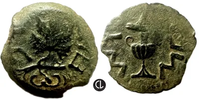 Judaea, First Jewish War, AE Prutah, Year 3 = 68/69 AD, Amphora / Vine Leaf