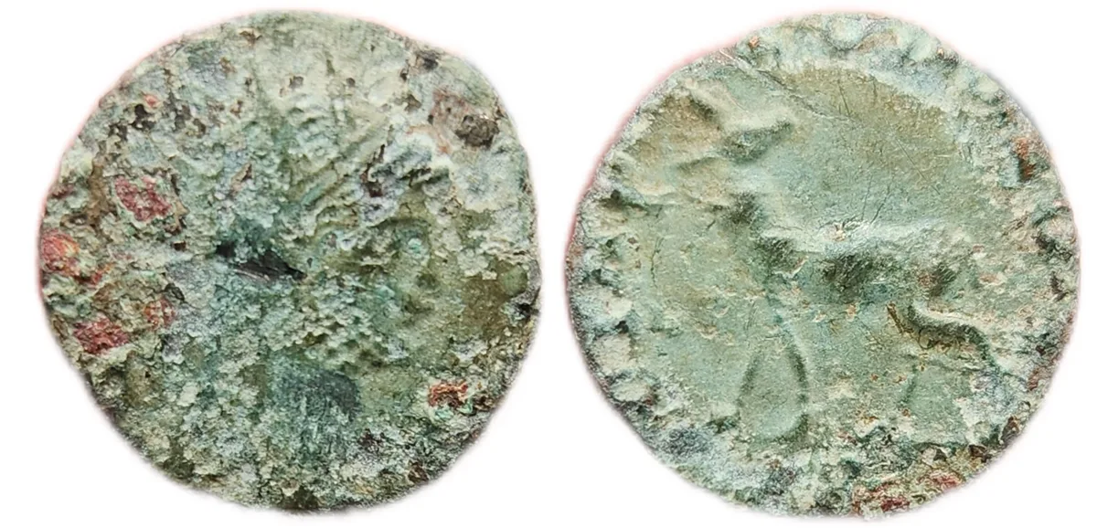 Gallienus Diana Nice Deer!