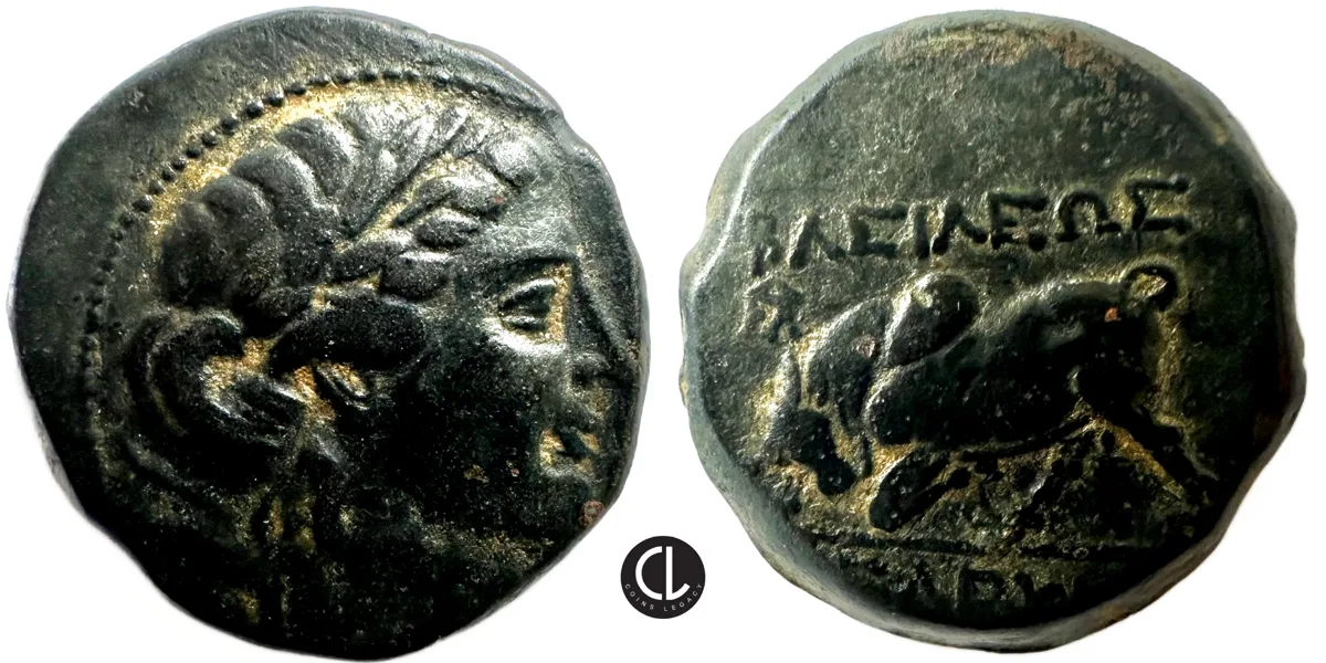Seleukid Kingdom, Seleukos II Kallinikos, AE Circa 246-225 BC, Mint Associated with Antioch, Apollo / Bull - RRR
