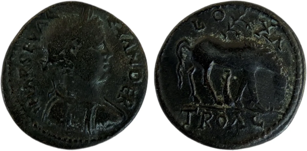 Roman Provincial Troas. Alexandreia. Severus Alexander AD 222-235. Bronze Æ