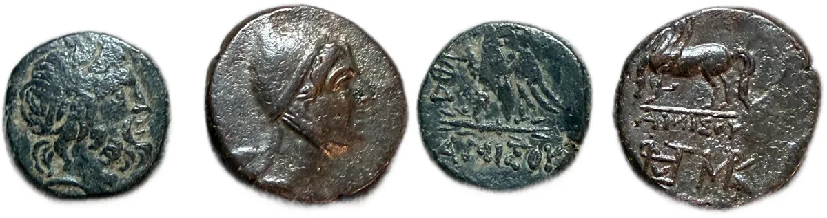 Amisos Pontos AE Nice Pair of Bronze Coins!