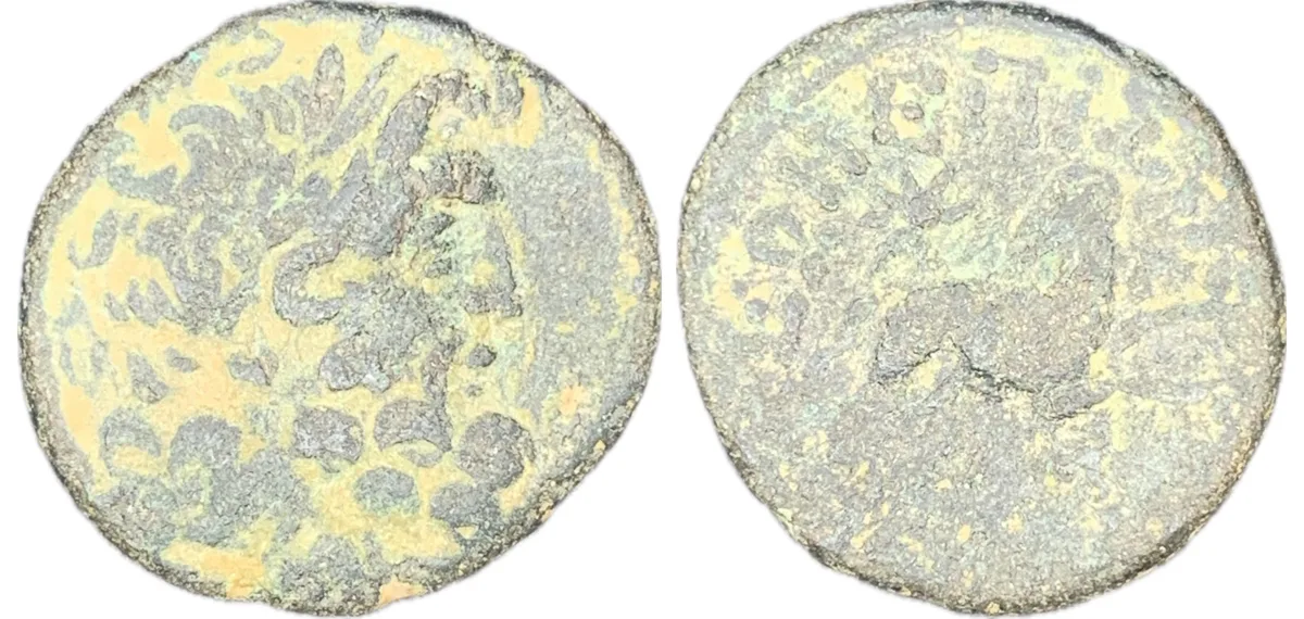 Seleucis and Pieria - Pseudo-autonomous issue - Antioch