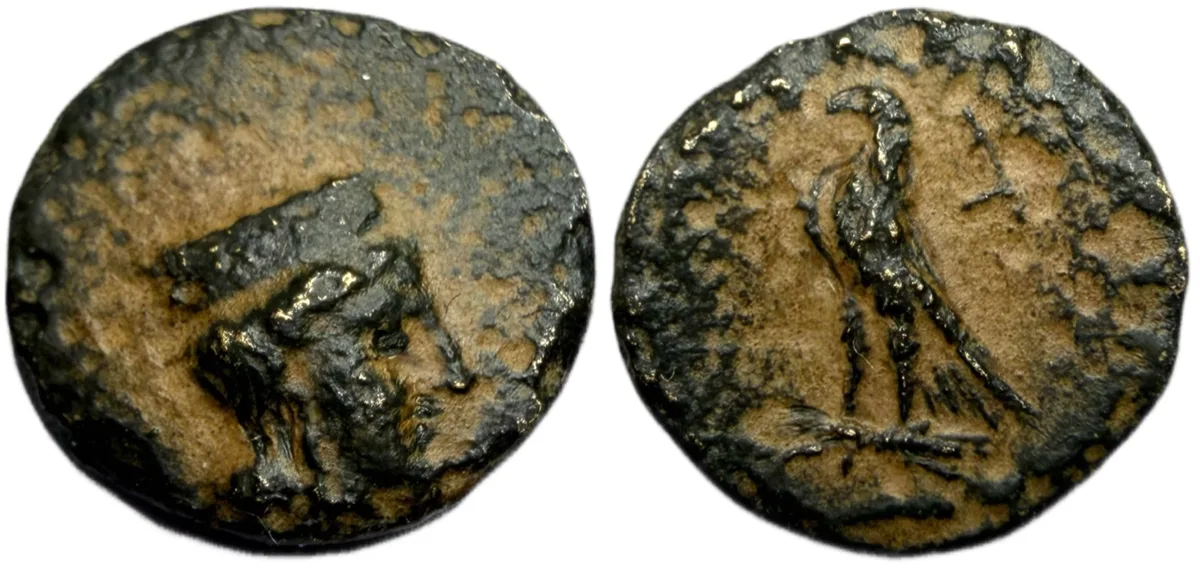 PTOLEMAIC KINGS of EGYPT. Ptolemy I Soter – Rare