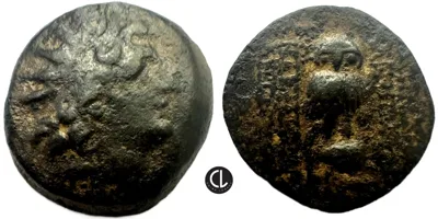 Seleukid Kingdom, Cleopatra Thea & Antiochos VIII, Antioch Mint, AE Circa 125-121 BC, Diademed Head / Owl