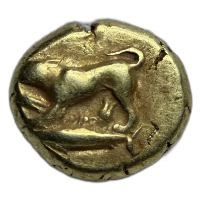 Mysia. Kyzikos circa 550-450 BC. Electrum Hekte Hound on Tunny