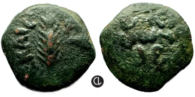 Judaea, Procurators Porcius Festus, 59-62 CE, AE Prutah, Jerusalem Mint, RY 5 = 58/9