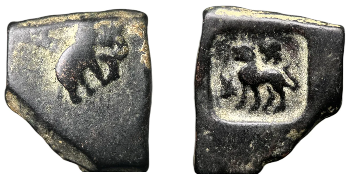 Pushkalavati local taxila issue elephant type